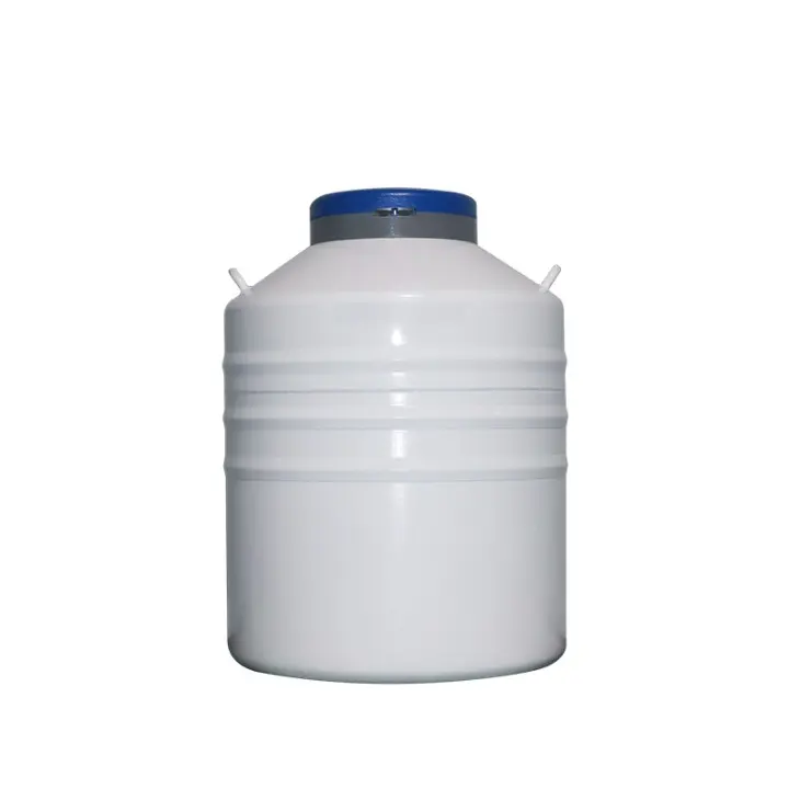 B-01-010210 7.webp