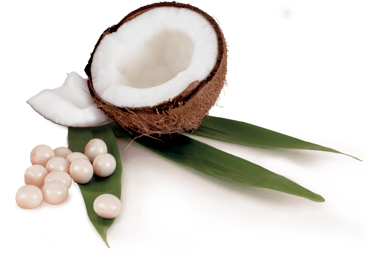 321100AnabacnaturalCoconutDeso_img_2