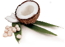 321100AnabacnaturalCoconutDeso_img_2