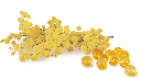321300AnabacNaturalMimosaDesod_img_2