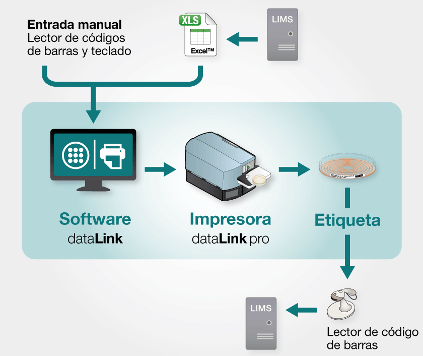 439050NUEVOpaquetedataLinkprod_img_3