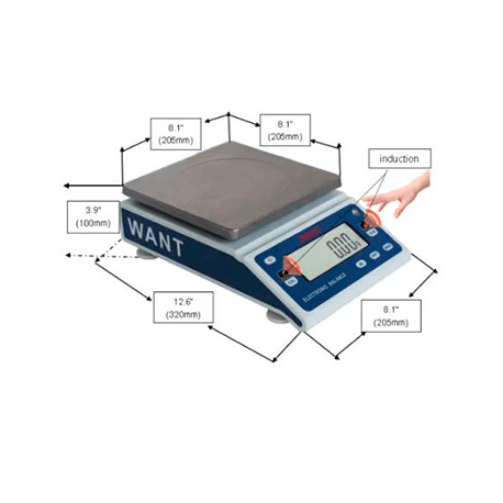Balanza-de-precision-1-1.png