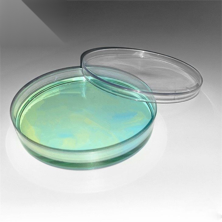plastic-petri-dish-60mm53232068794.jpg