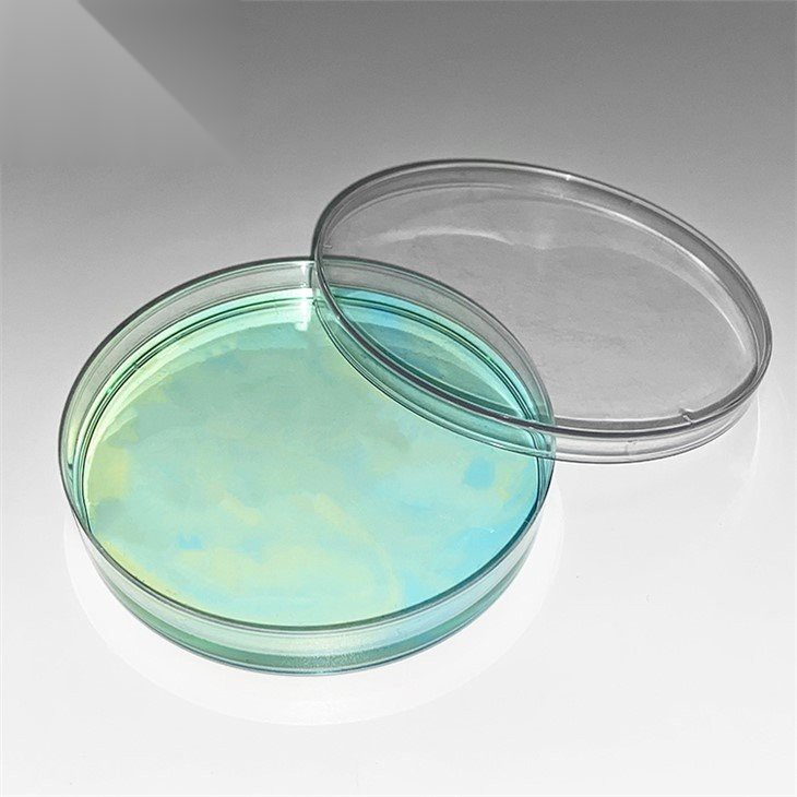 plastic-petri-dish-60mm53240818779.png