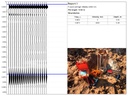 Preparing a graphical report