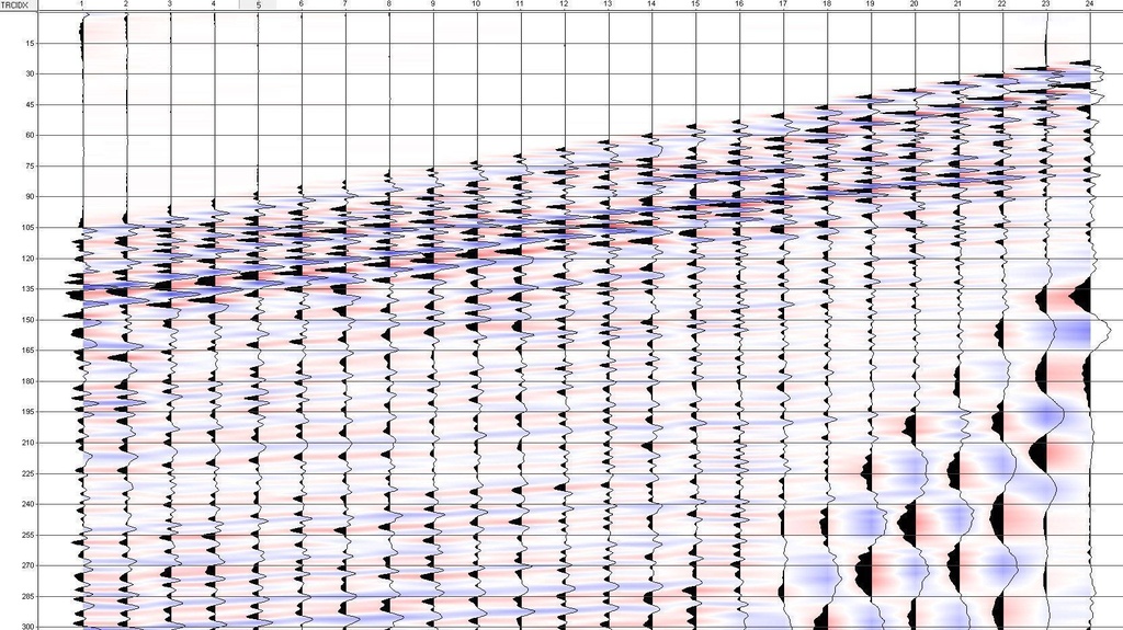 Example of field data obtained with Pike seismic source