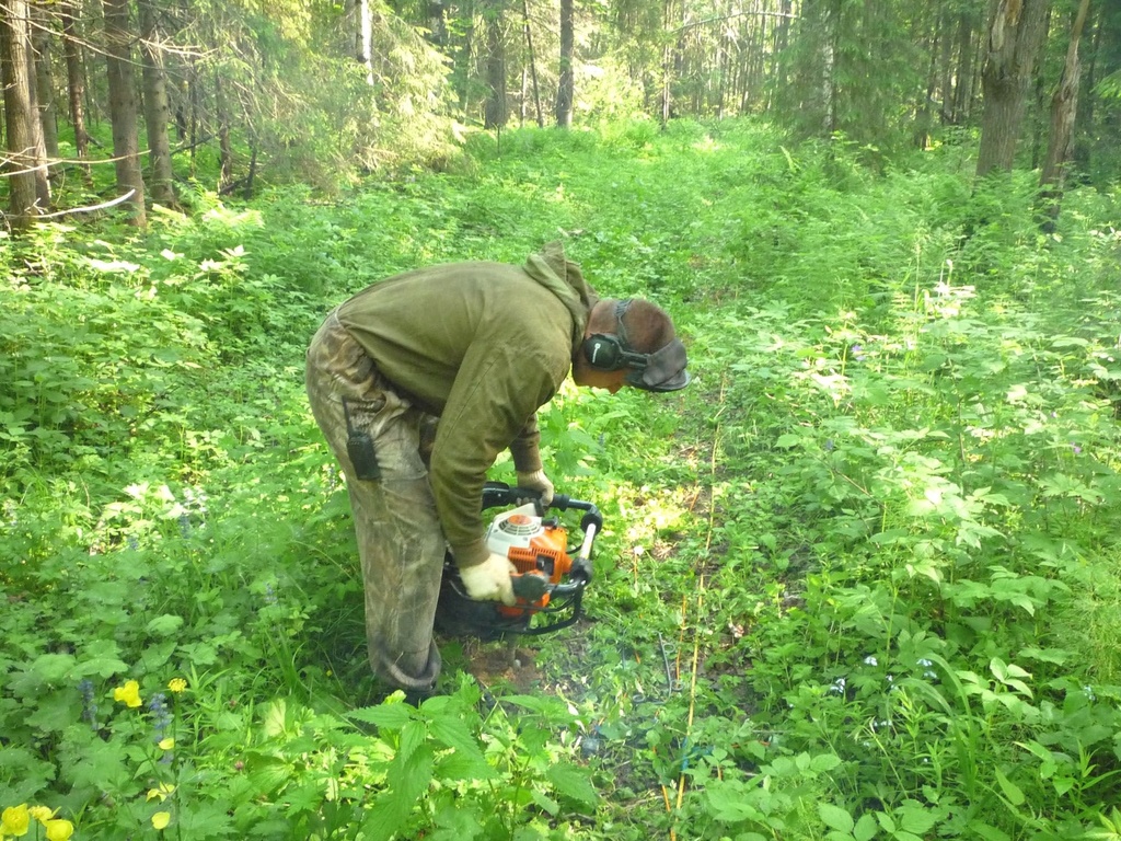 Well preparation for 12-gauge seismic source use