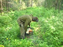 Well preparation for 12-gauge seismic source use