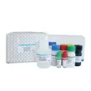 Kits de prueba ELISA para inmunoensayo enzimático cualitativo de 96T/48T humano B-01-010081