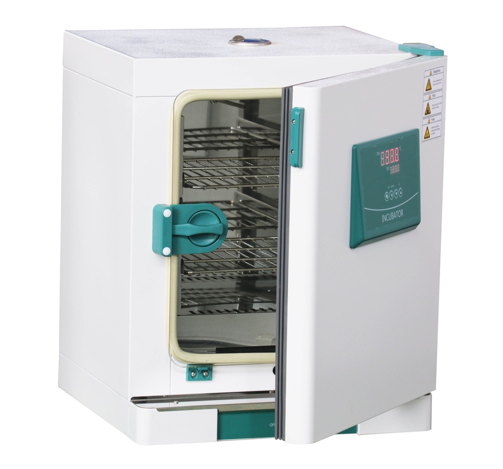 Incubadora de temperatura constante  210L