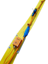 LandStreamer