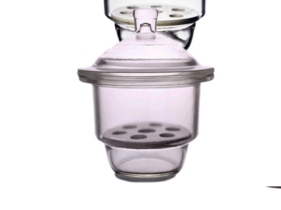 Desecador vidrio transparente, con plato de porcelana - BellVid-CDesecadoresVTPP-100 - WP