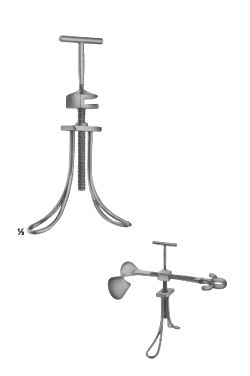 MODELO TUBINGEN - WP