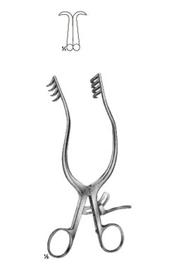 NORFOLK AND NORWICH - WP