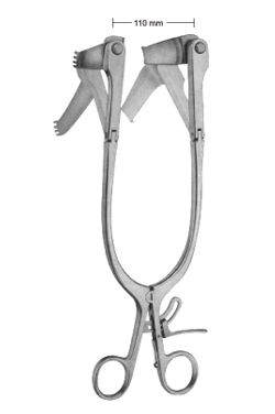 MODIFICACIÓN CLOWARD - WP