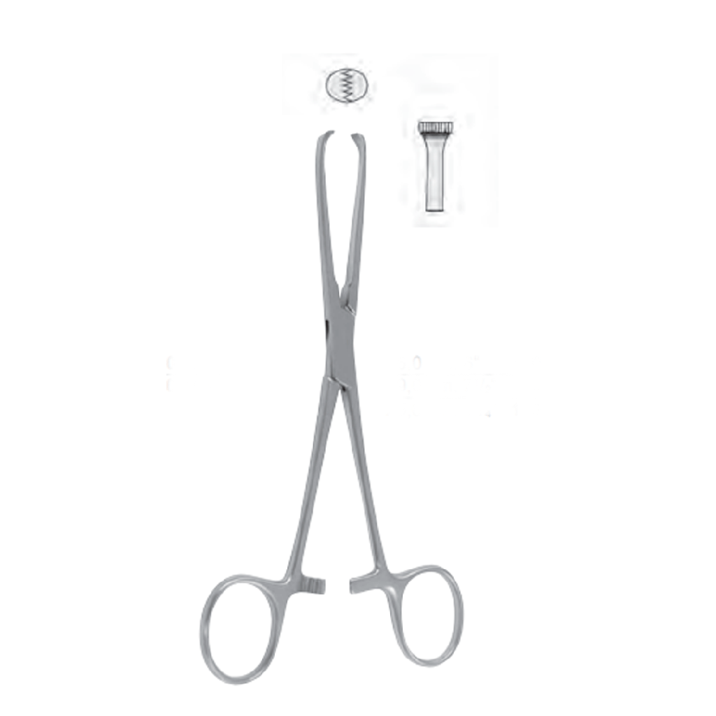 Pinza de tejido Allis de 6 - WP