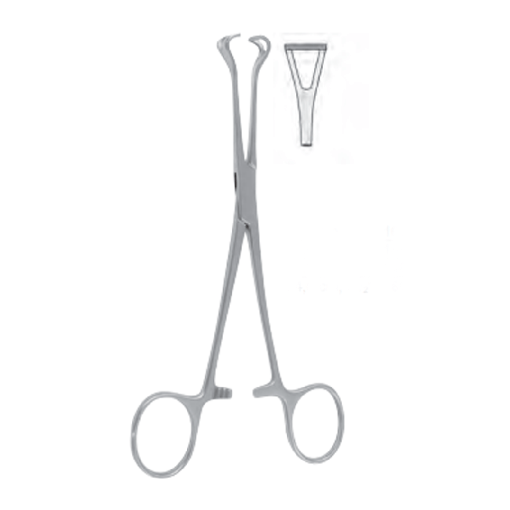 Pinza de Babcock 6.5 - WP