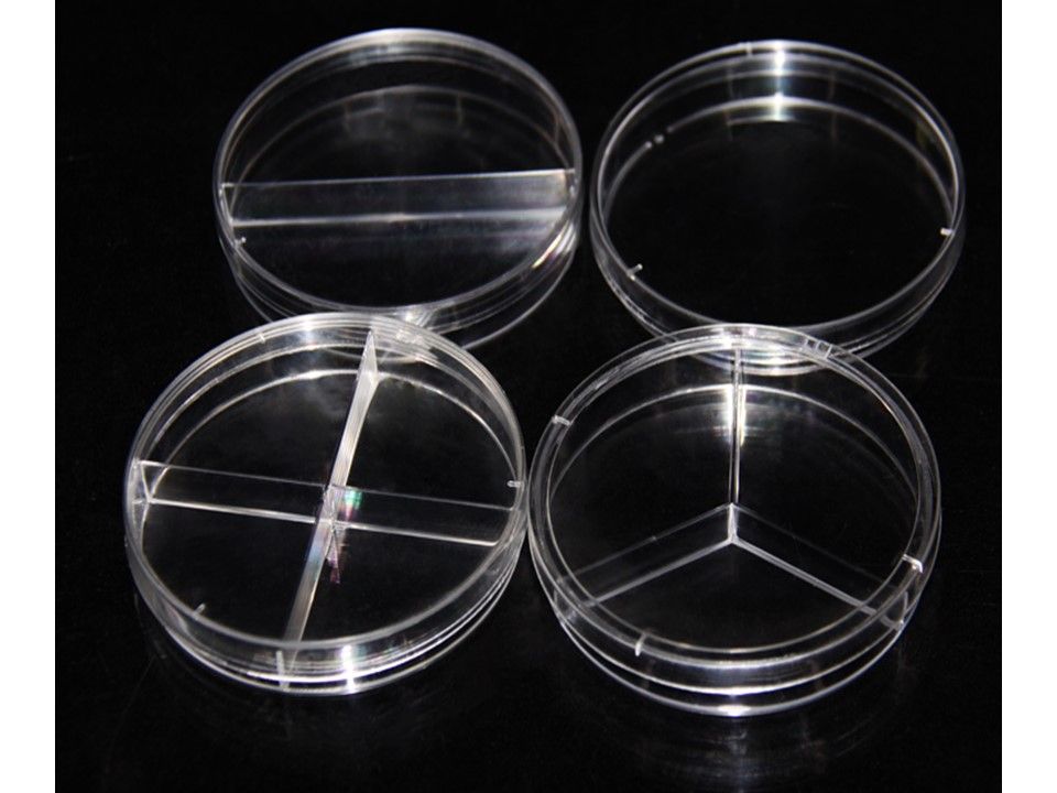 Placa de cultivo de Petri - BellVid-PlacaCPetri-130 - WP