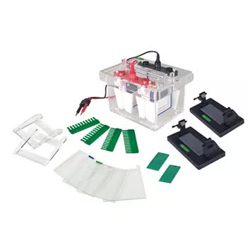 Minicélula de electroforesis 2.5kg Bell-MiniCeluElecFor-1000 - WP