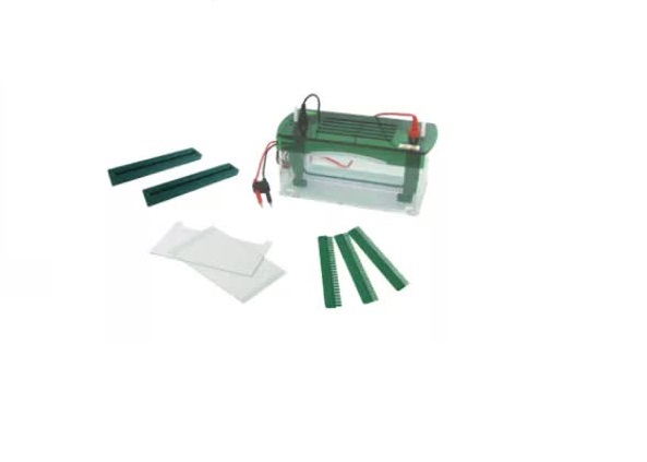 Electroforesis vertical rápida SSR Bell-EleVeRA-1800 - WP