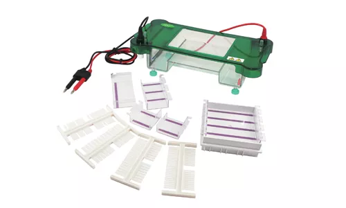 Electroforesis horizontal Bell-ElecHoriz-900 - WP