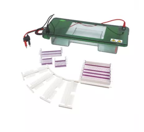 Célula de electroforesis horizontal Bell-CelElecHoriz-550 - WP