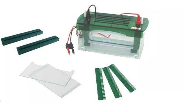 Tanque de electroforesis vertical Bell-TanqElecV-1800 - WP