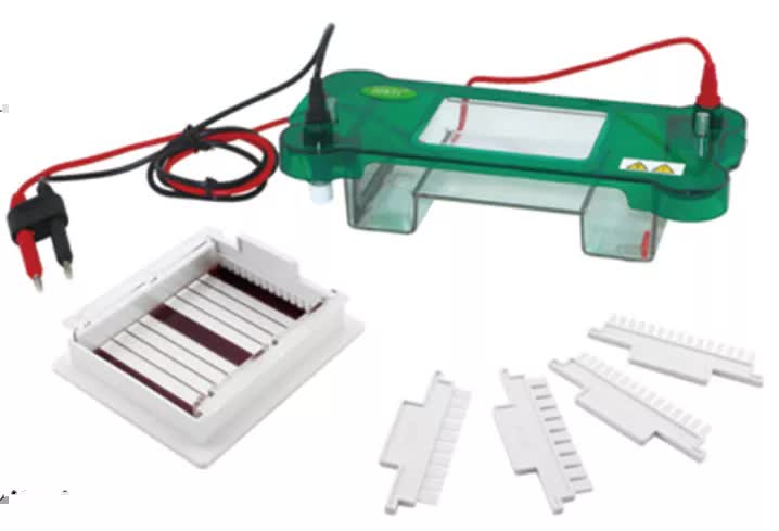Electroforesis horizontal Bell-ElectroHoriz-400ml - WP