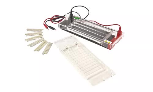 [B2-01-29-227] JY-SP3 camara de electroforesis horizontal