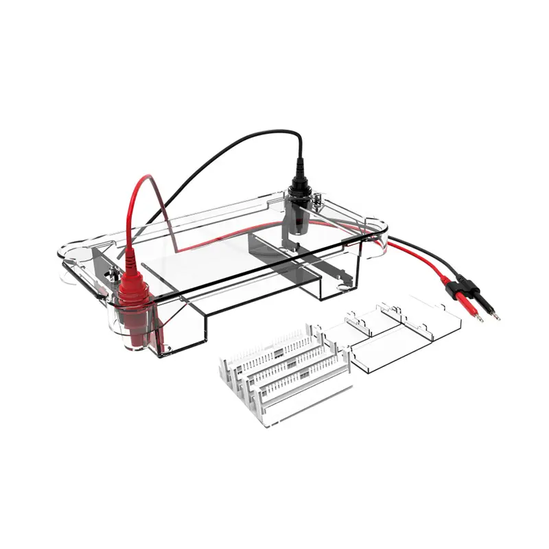 Sistema de Electroforesis Horizontal (Varios Tamaños) - B-01-010784