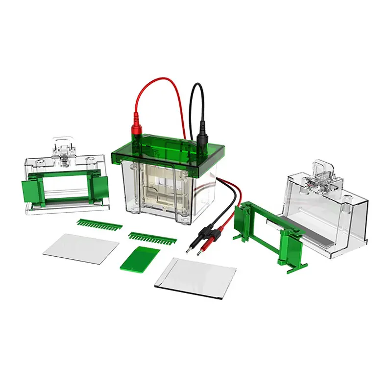 Sistema de Electroforesis Vertical Mini - B-01-010788