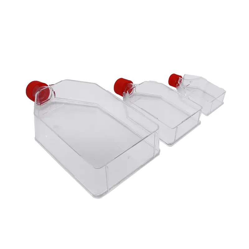 Matraz de Cultivo Celular con Tapa de Ventilación B-01-010982 - B-01-010982