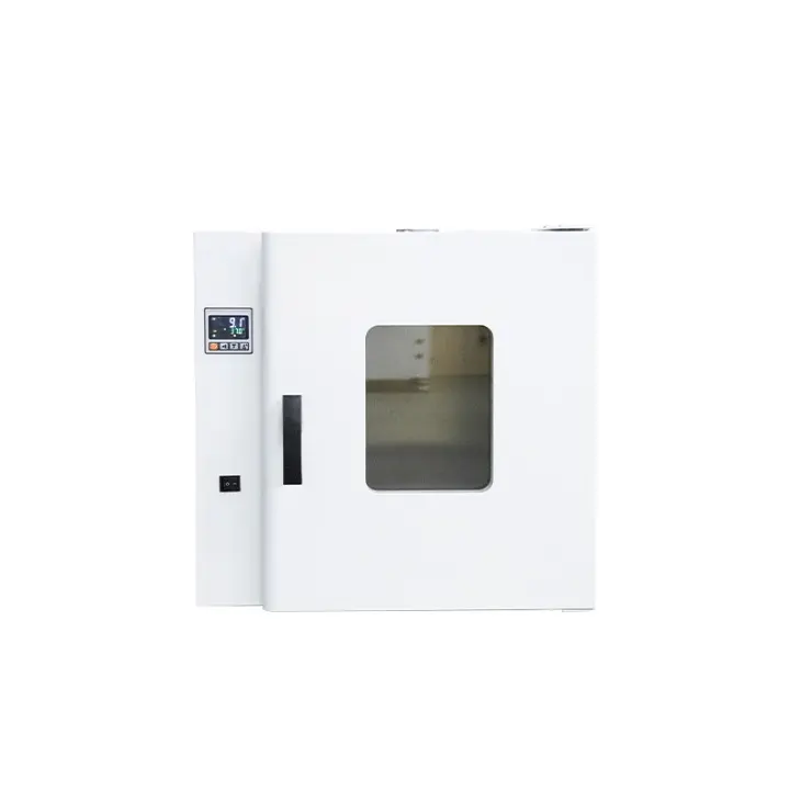 Horno de Secado de Temperatura Constante - B-01-010370