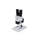 Microscopio Estereoscópico - B-01-010619