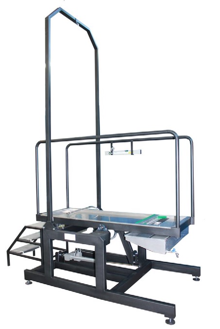 Medidor De Deslizamiento De Rampa Mod. Mls - CI_91