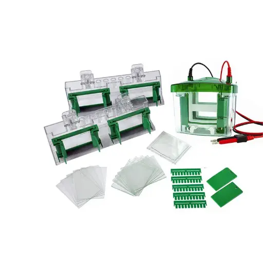 [B-01-010780] Sistema de Electroforesis Vertical - B-01-010780