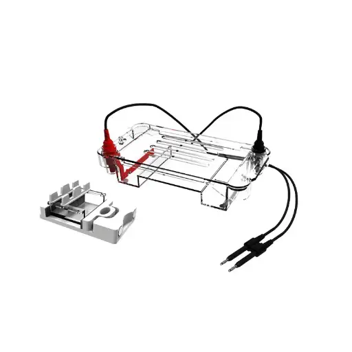 [B-01-010781] Sistema Básico Electroforesis Horizontal - B-01-010781