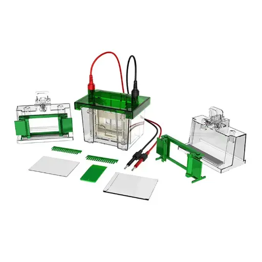 [B-01-010788] Sistema de Electroforesis Vertical Mini - B-01-010788