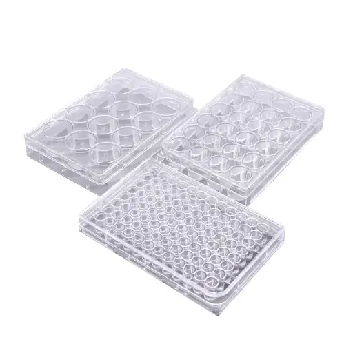 [B-01-010950] Placas de Cultivo Celular Tratadas con Plasma